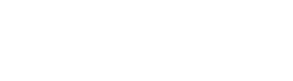 Inforfel Lda